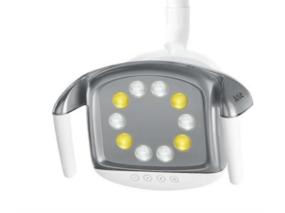 10 bombillas LUZ dental LED